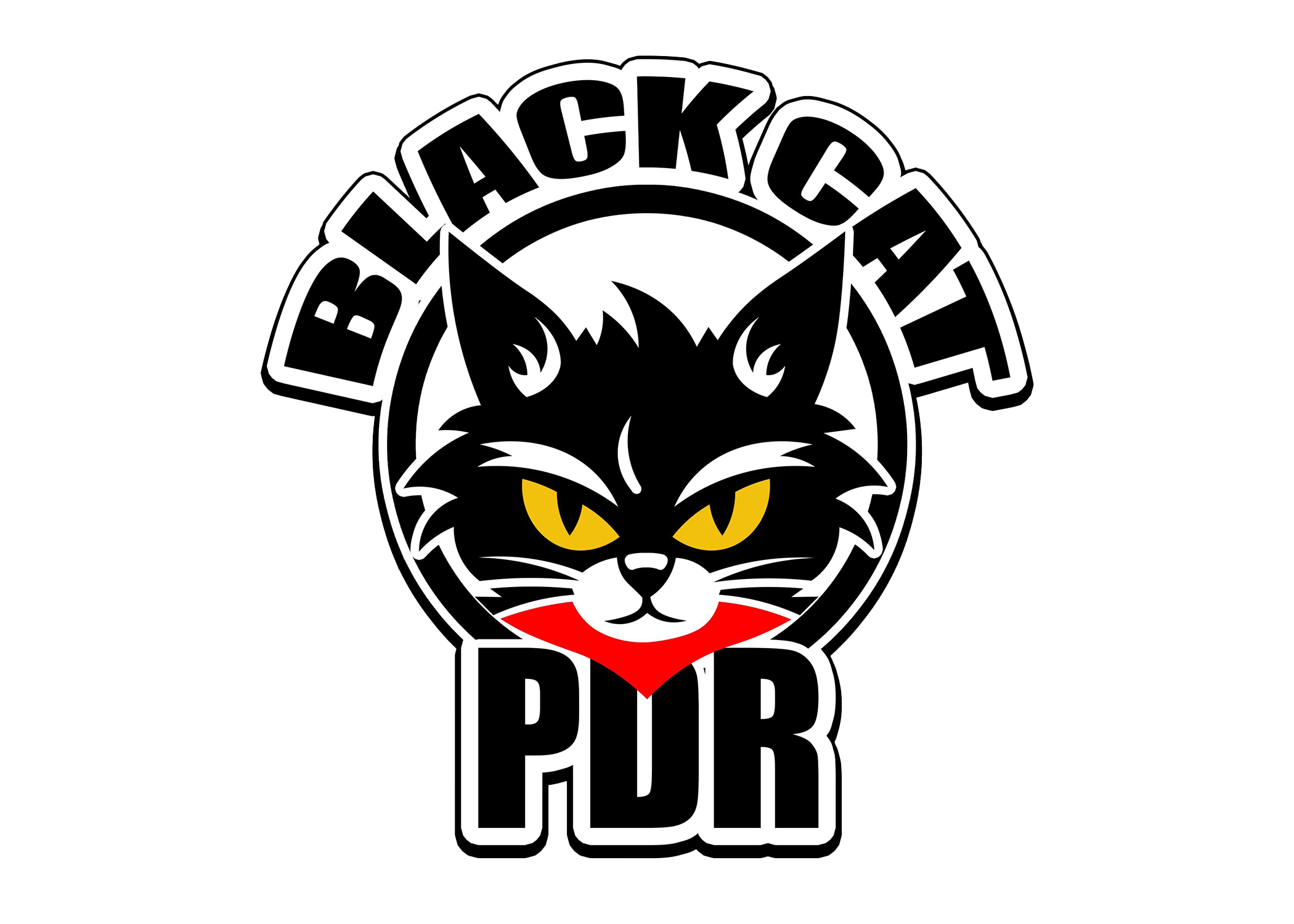 Black Cat Racing Logo
